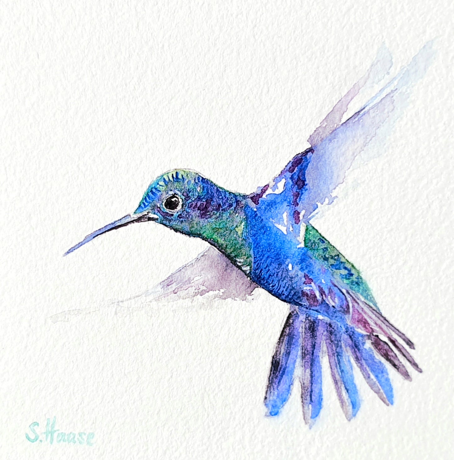 Aquarell Ohringe Kolibris "Be Happy" silber - Art earrings watercolor "Happiness" of two Kolibris, silber